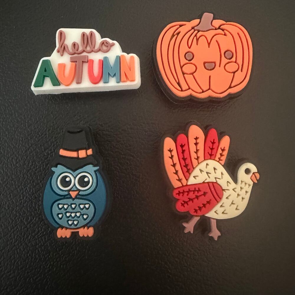 Bogg Bag Compatible, Bits, Charms, Accessories Set of 4 Fall, New No Tags